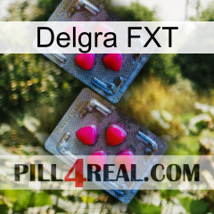 Delgra FXT 14